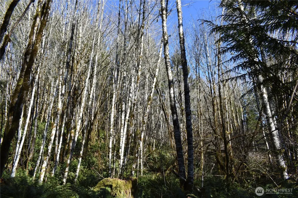 0 Lincoln Creek Road Rochester WA 98579