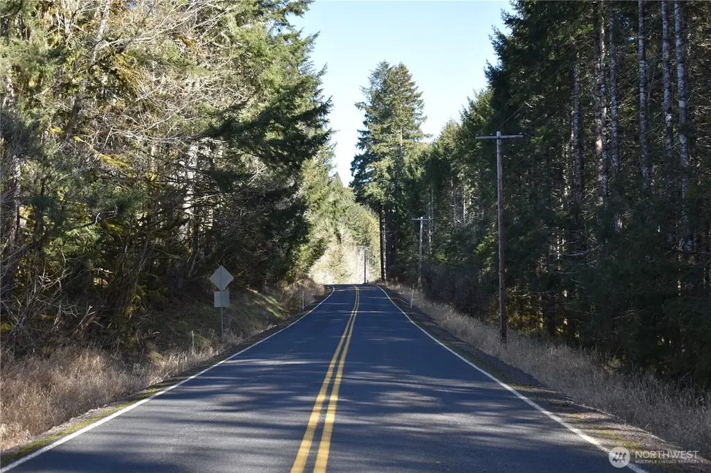 0 Lincoln Creek Road Rochester WA 98579