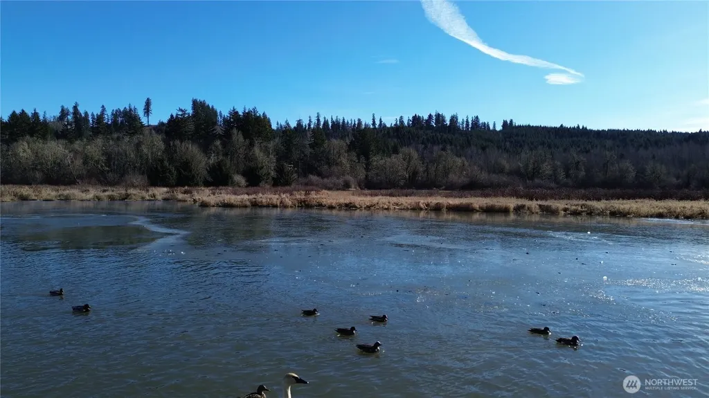 0 Lincoln Creek Road Rochester WA 98579
