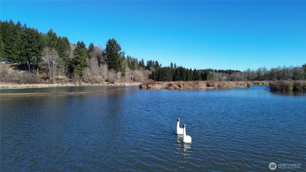 0 Lincoln Creek Road Rochester WA 98579