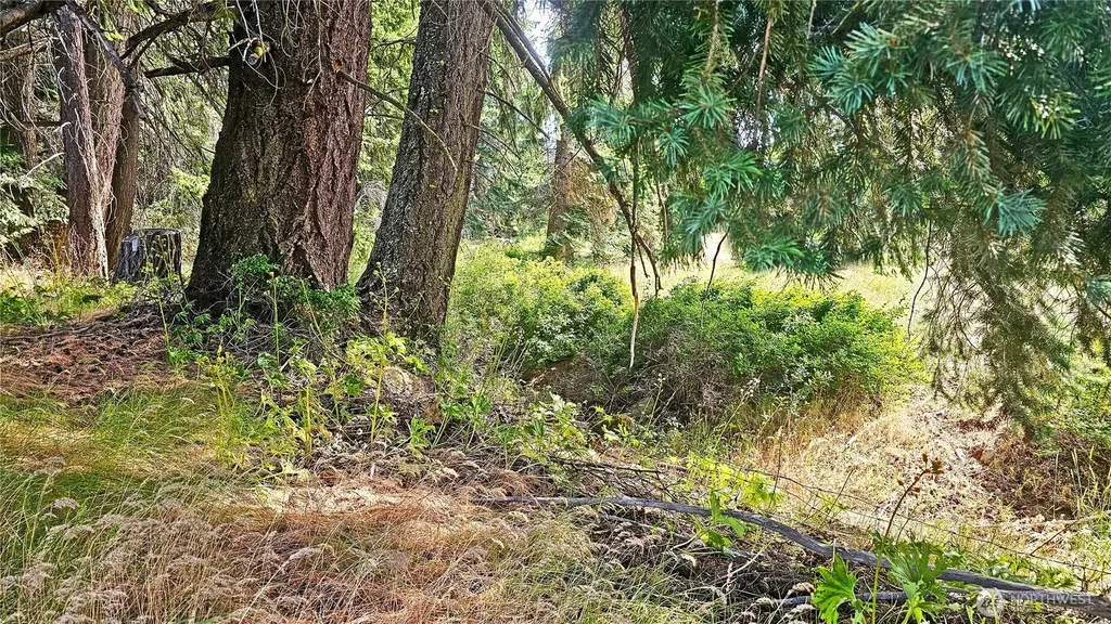 0 Darling Way Cle Elum WA 98922