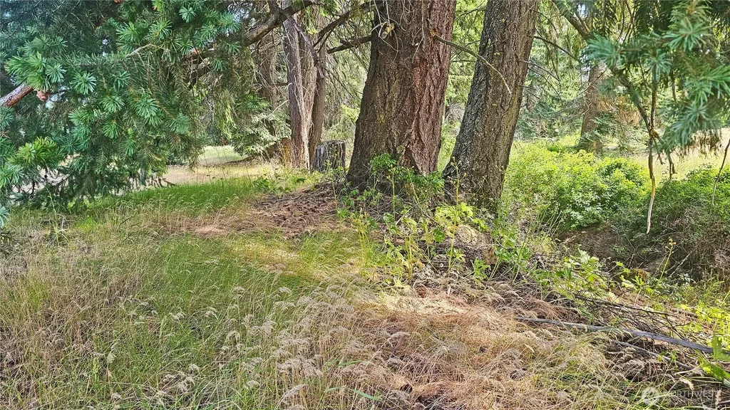 0 Darling Way Cle Elum WA 98922
