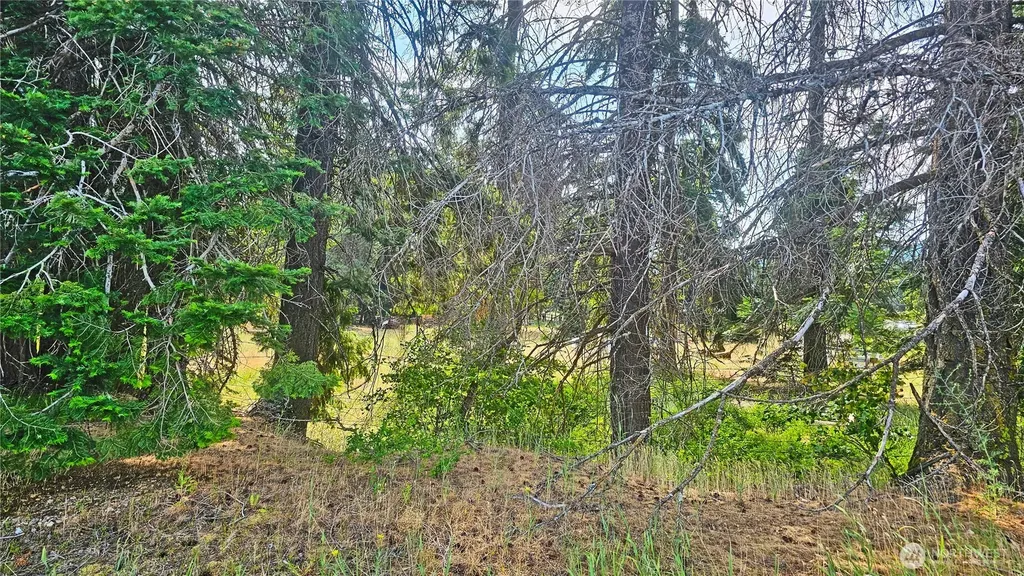0 Darling Way Cle Elum WA 98922