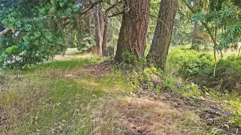 0 Darling Way Cle Elum WA 98922