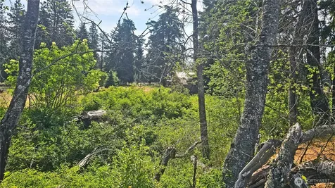0 Darling Way Cle Elum WA 98922
