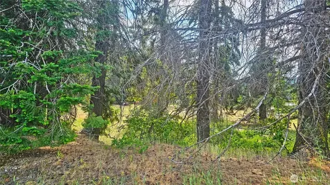 0 Darling Way Cle Elum WA 98922