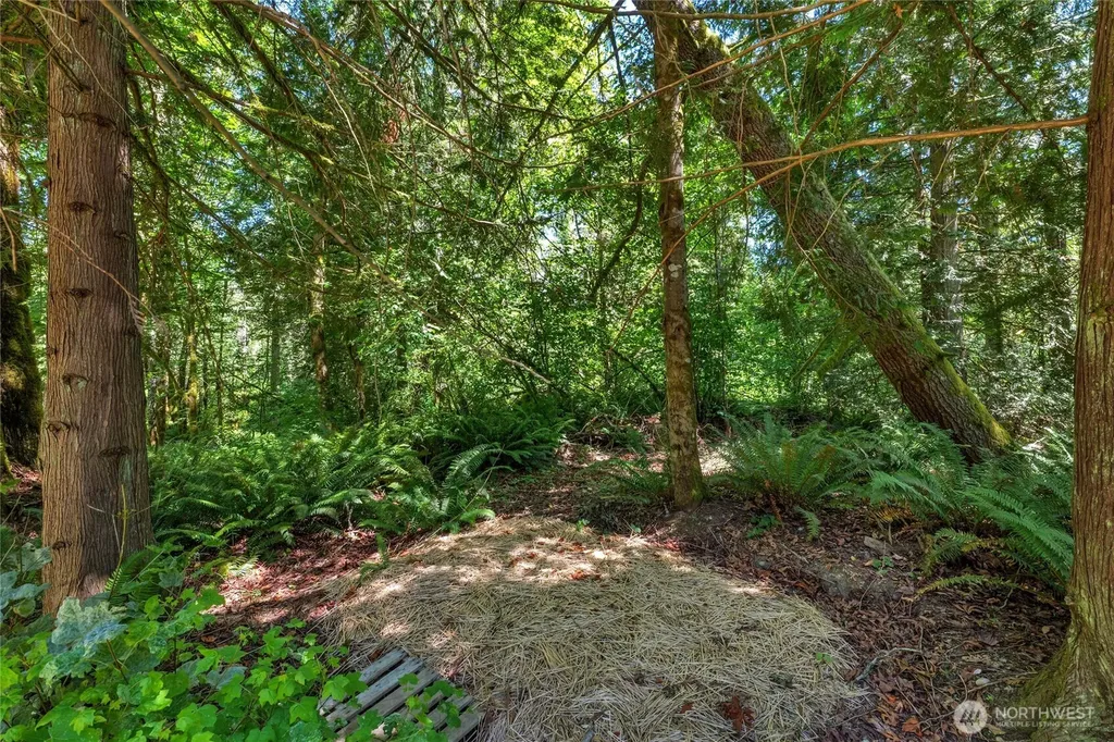 189 209th Avenue SE Monroe WA 98272