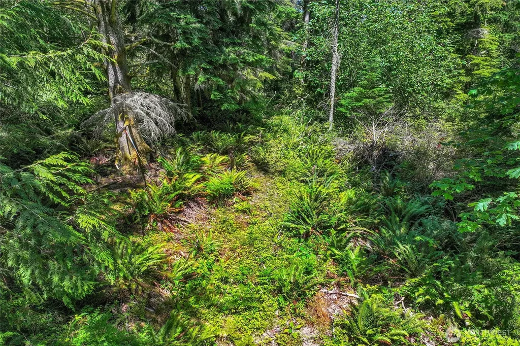 189 209th Avenue SE Monroe WA 98272