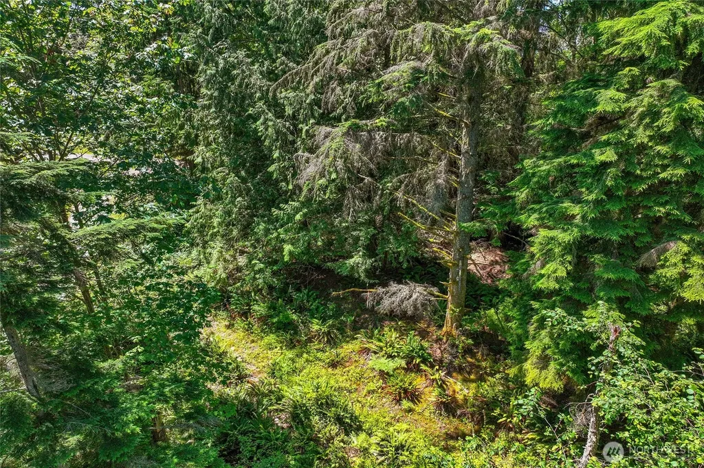 189 209th Avenue SE Monroe WA 98272