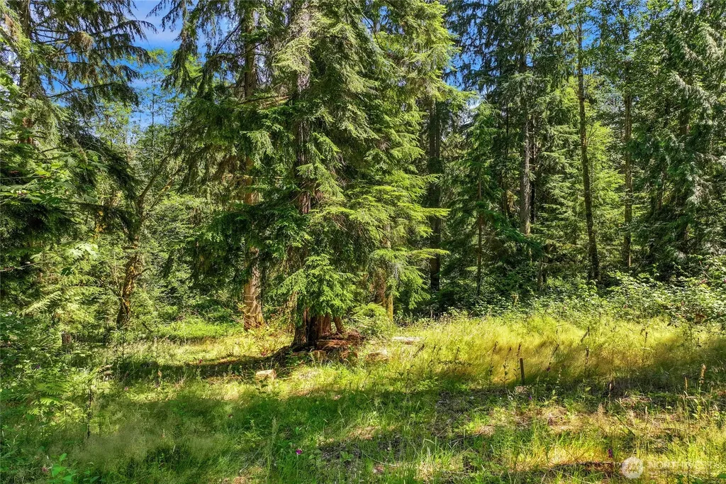 189 209th Avenue SE Monroe WA 98272