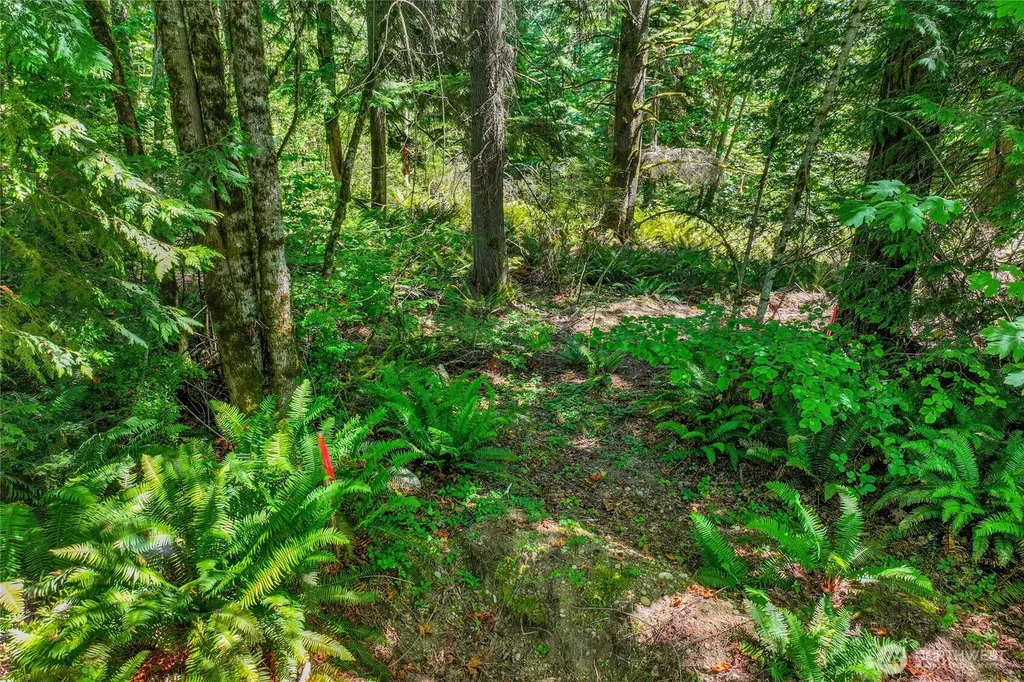 189 209th Avenue SE Monroe WA 98272