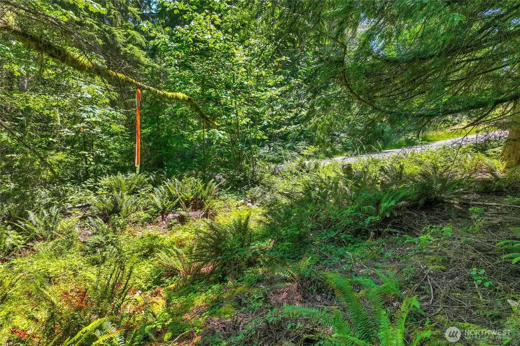 189 209th Avenue SE Monroe WA 98272