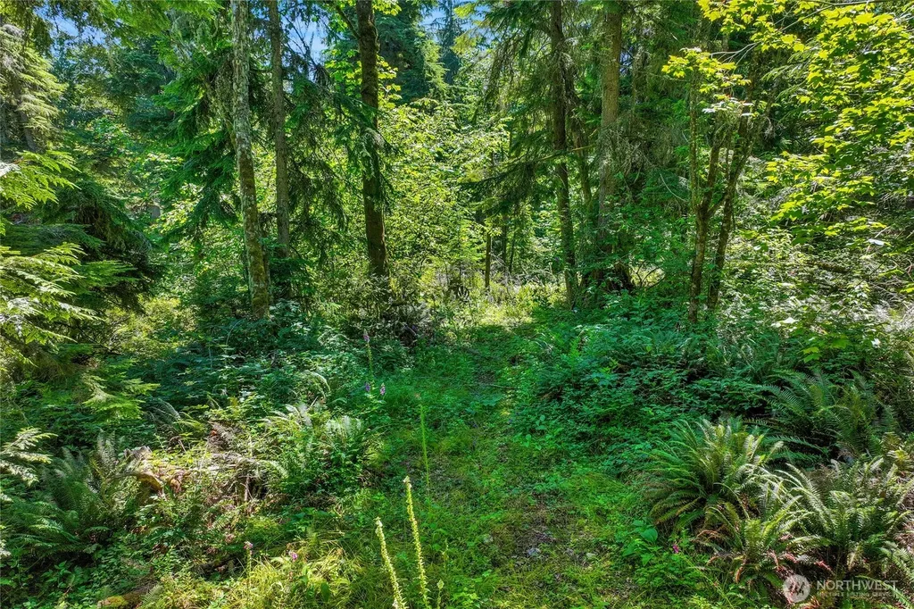 189 209th Avenue SE Monroe WA 98272