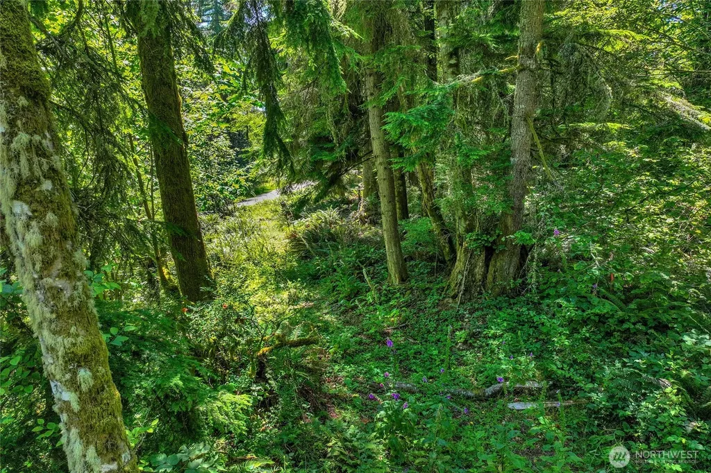 189 209th Avenue SE Monroe WA 98272