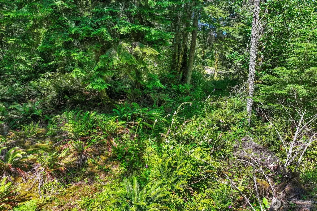 189 209th Avenue SE Monroe WA 98272