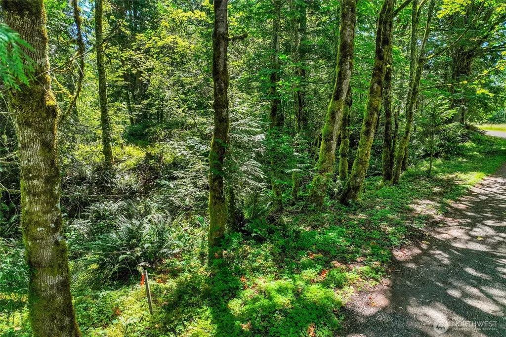 189 209th Avenue SE Monroe WA 98272