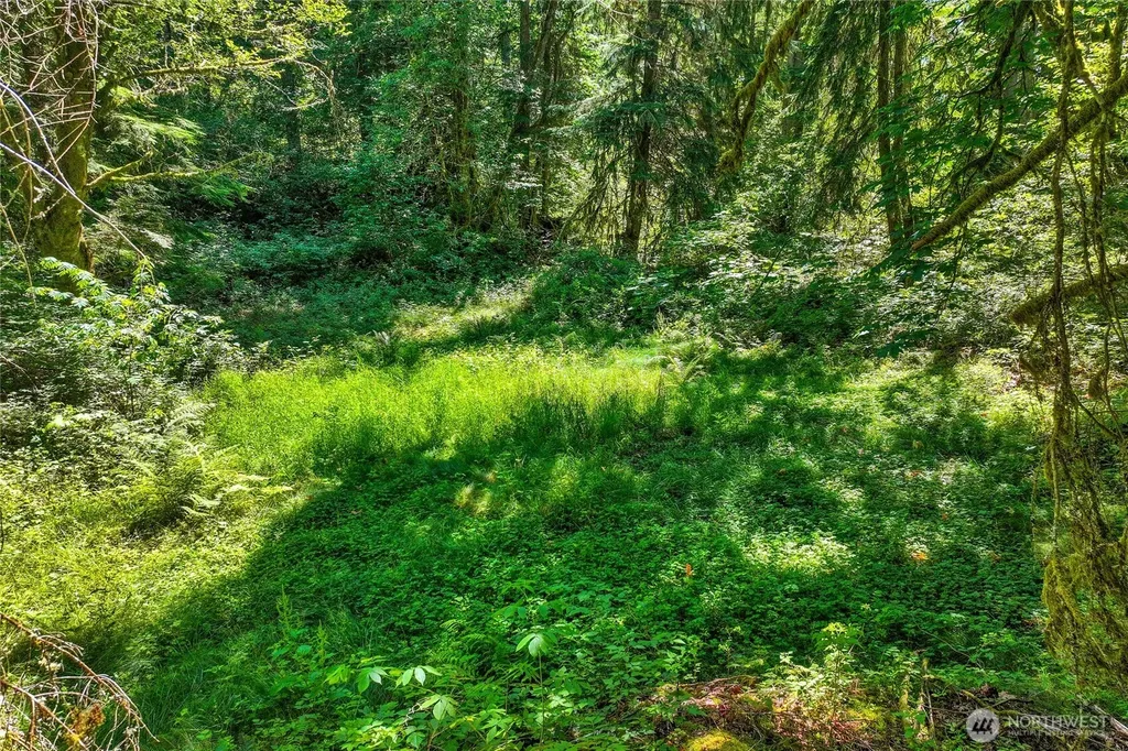 189 209th Avenue SE Monroe WA 98272