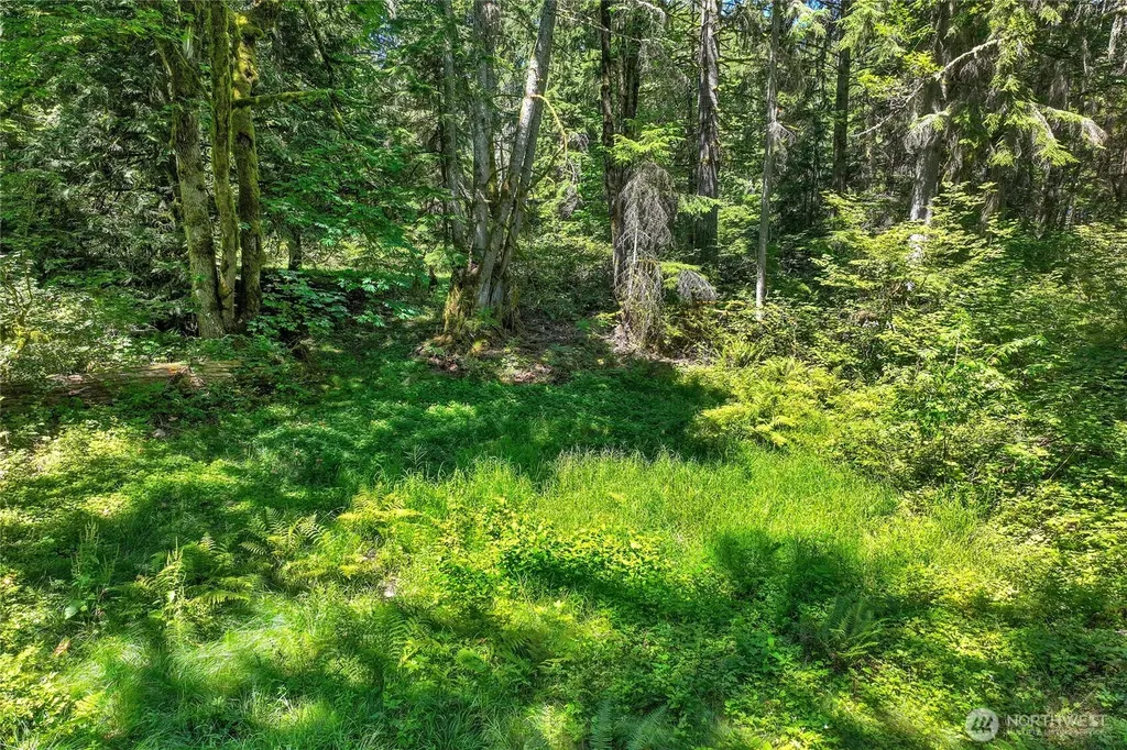189 209th Avenue SE Monroe WA 98272