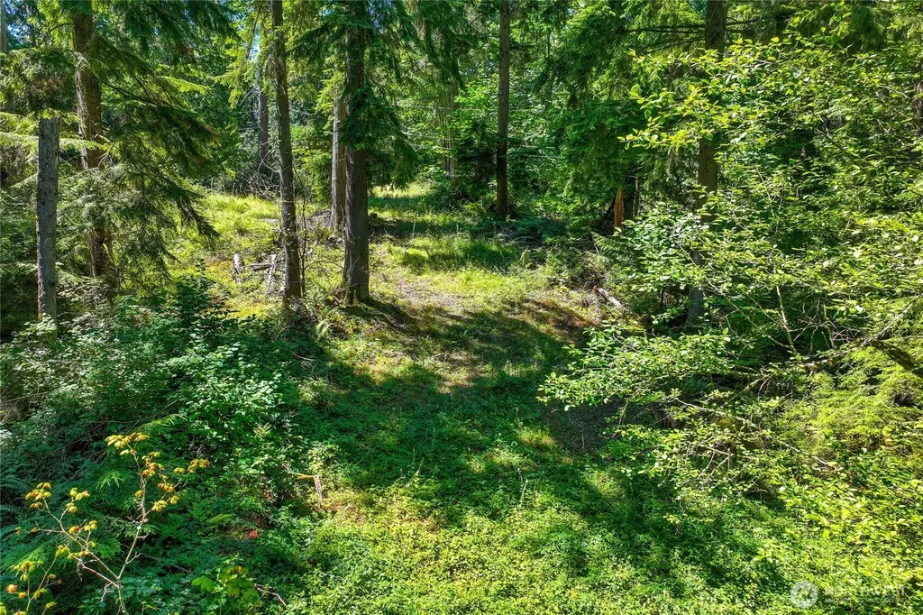 189 209th Avenue SE Monroe WA 98272