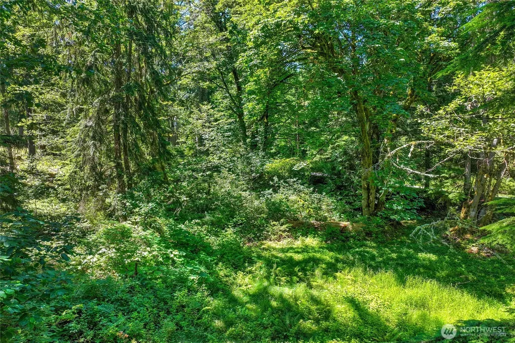 189 209th Avenue SE Monroe WA 98272