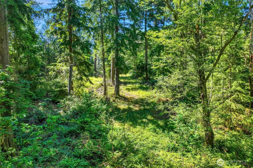 189 209th Avenue SE Monroe WA 98272