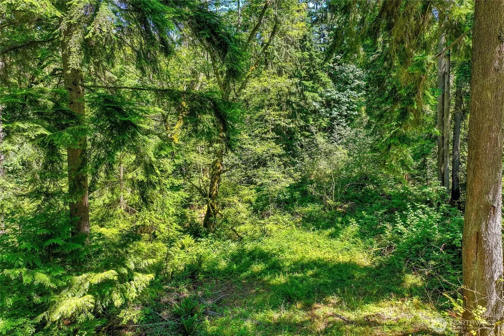 189 209th Avenue SE Monroe WA 98272