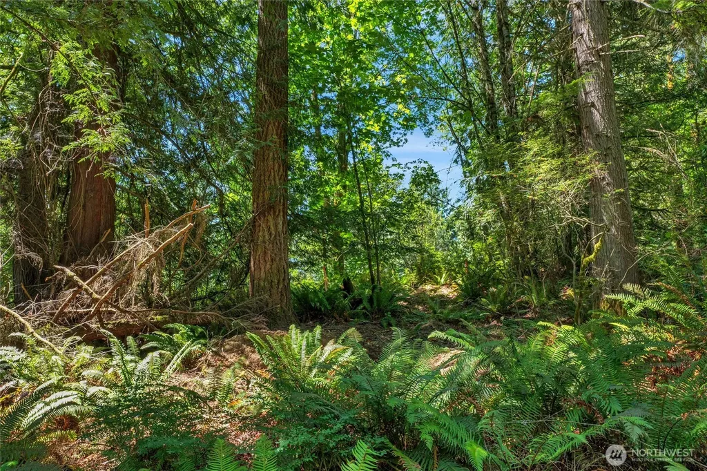 189 209th Avenue SE Monroe WA 98272