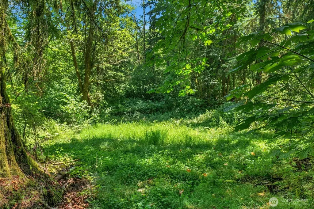 189 209th Avenue SE Monroe WA 98272