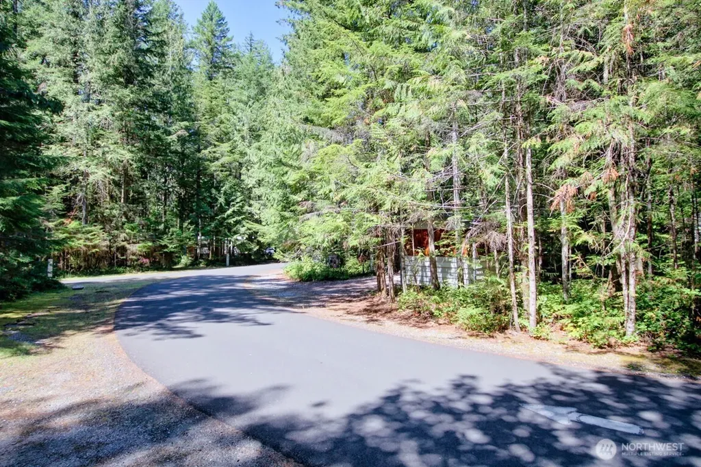 299 Schinn Canyon Drive Deming WA 98244