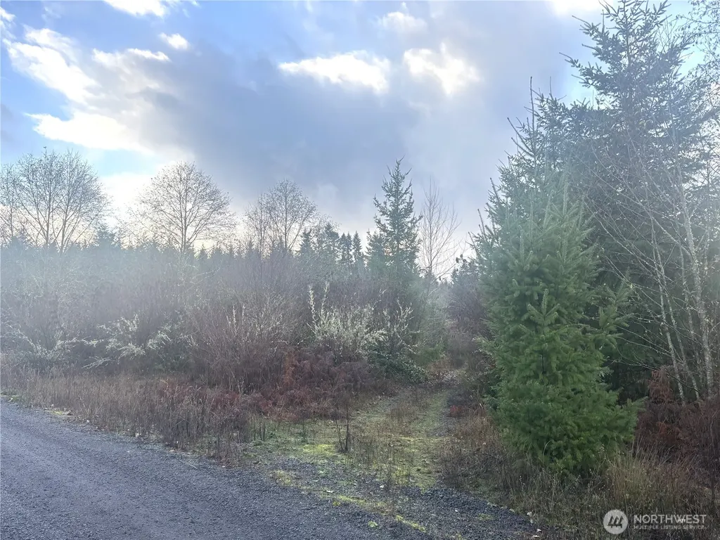 213 Sudden Valley Drive Castle Rock WA 98611