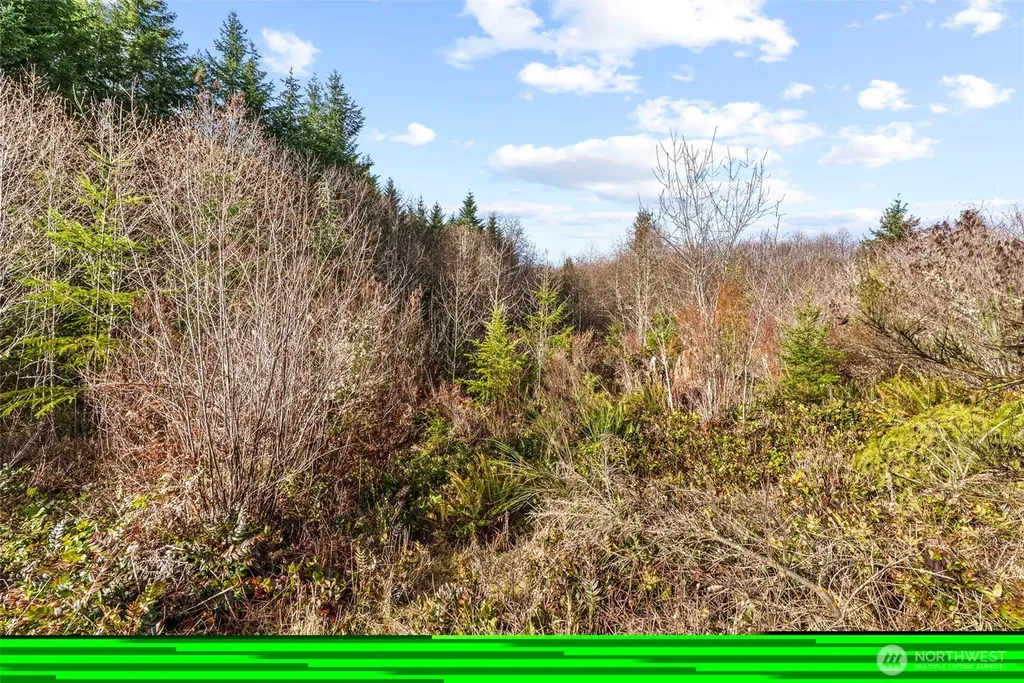 213 Sudden Valley Drive Castle Rock WA 98611