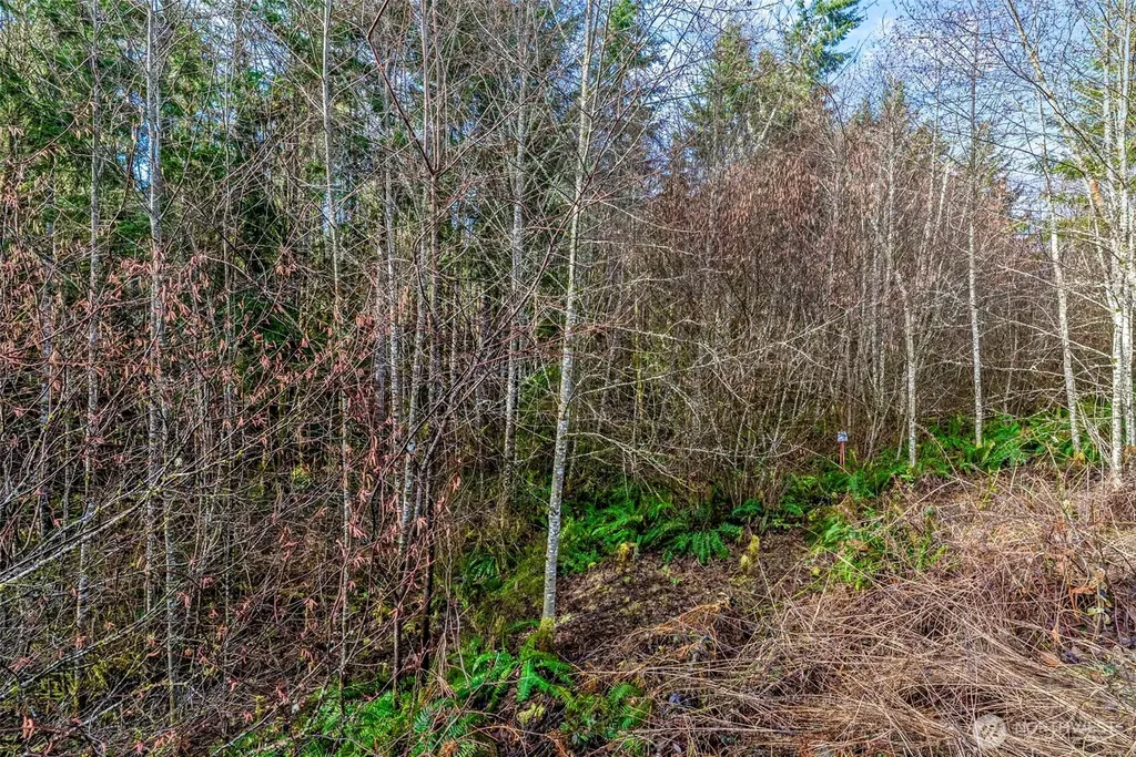213 Sudden Valley Drive Castle Rock WA 98611