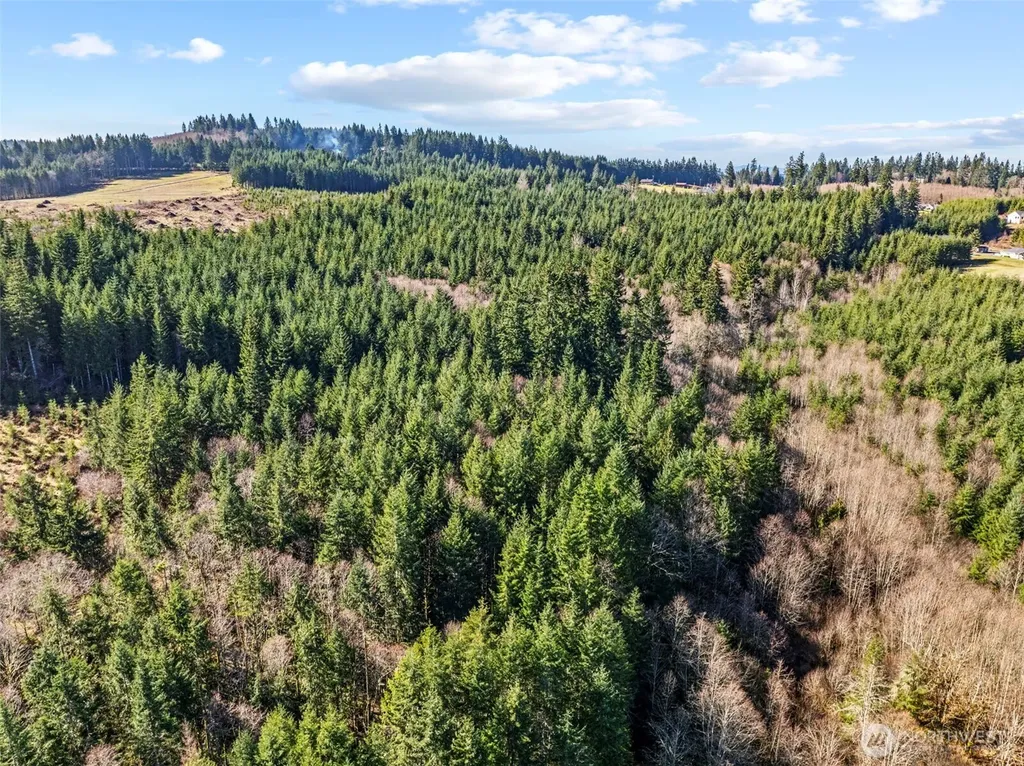 213 Sudden Valley Drive Castle Rock WA 98611