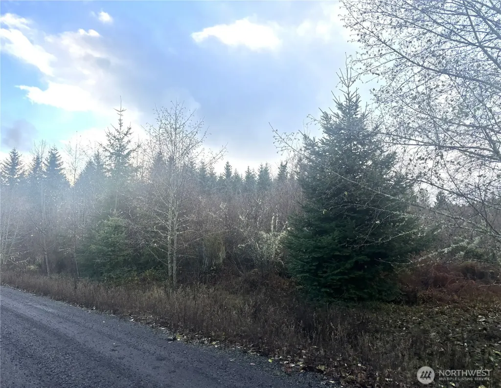 213 Sudden Valley Drive Castle Rock WA 98611