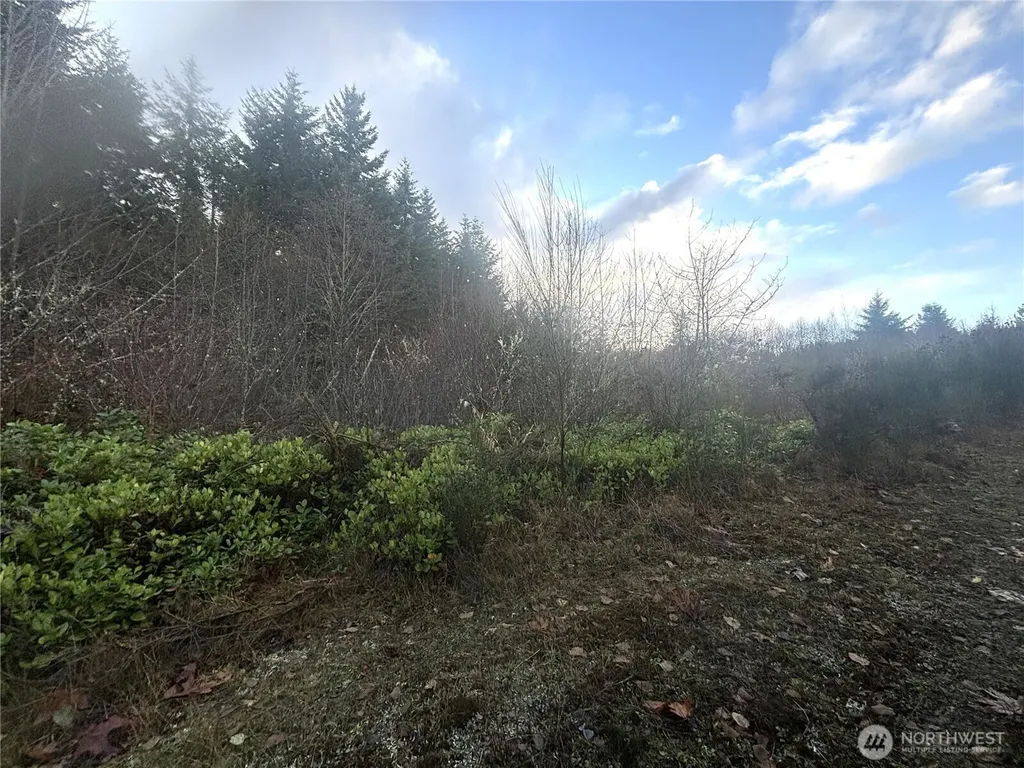 213 Sudden Valley Drive Castle Rock WA 98611