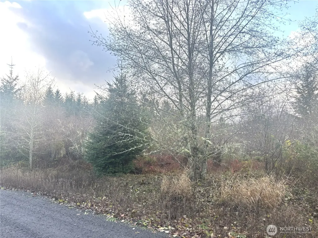 213 Sudden Valley Drive Castle Rock WA 98611