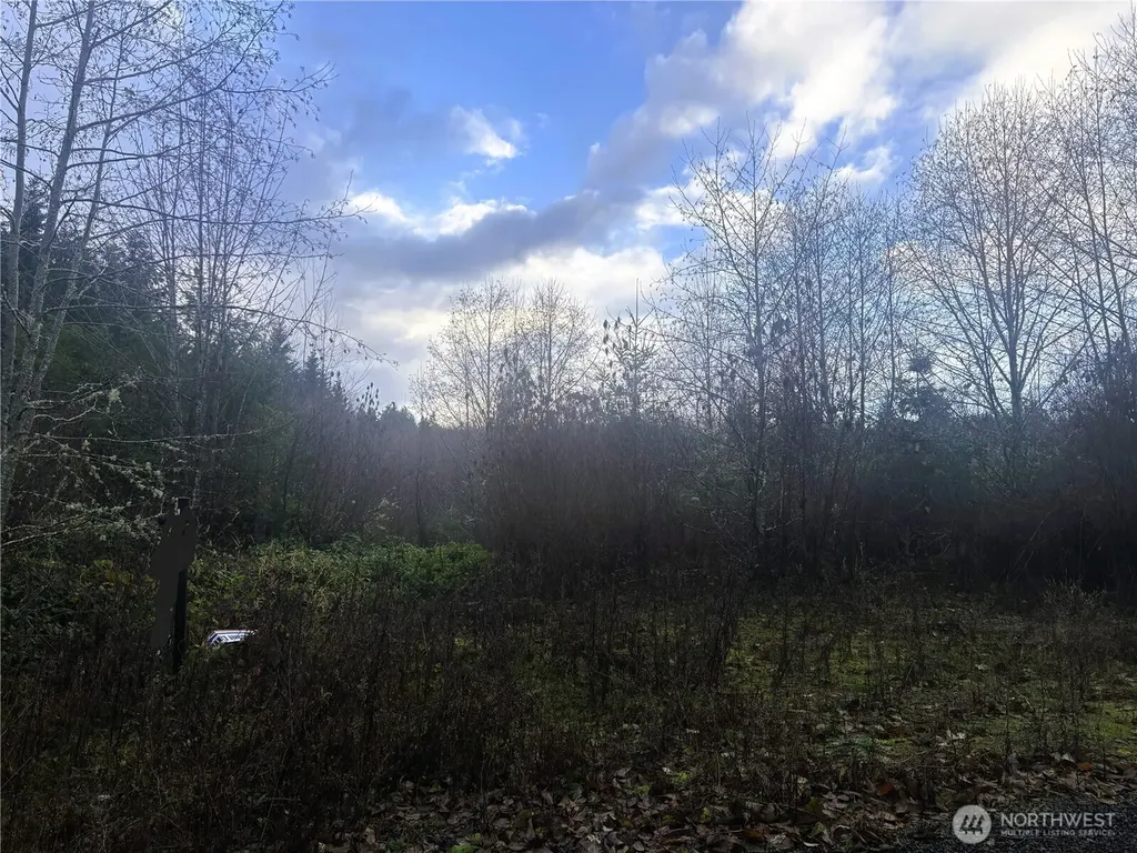 213 Sudden Valley Drive Castle Rock WA 98611