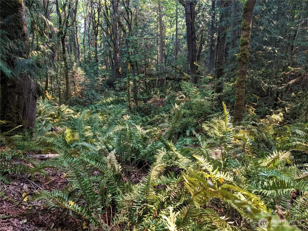 2998 Oak Bay Road Port Hadlock WA 98339