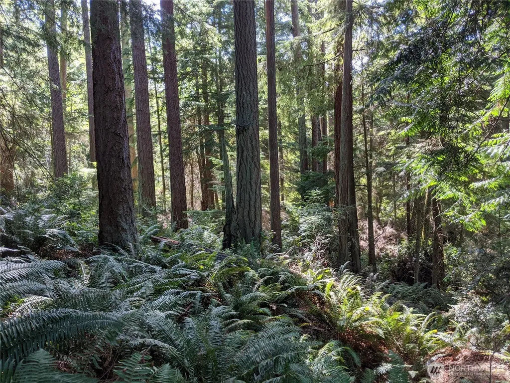2998 Oak Bay Road Port Hadlock WA 98339
