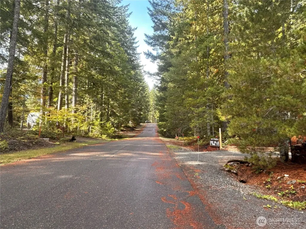 151 N Quinault Place Hoodsport WA 98548