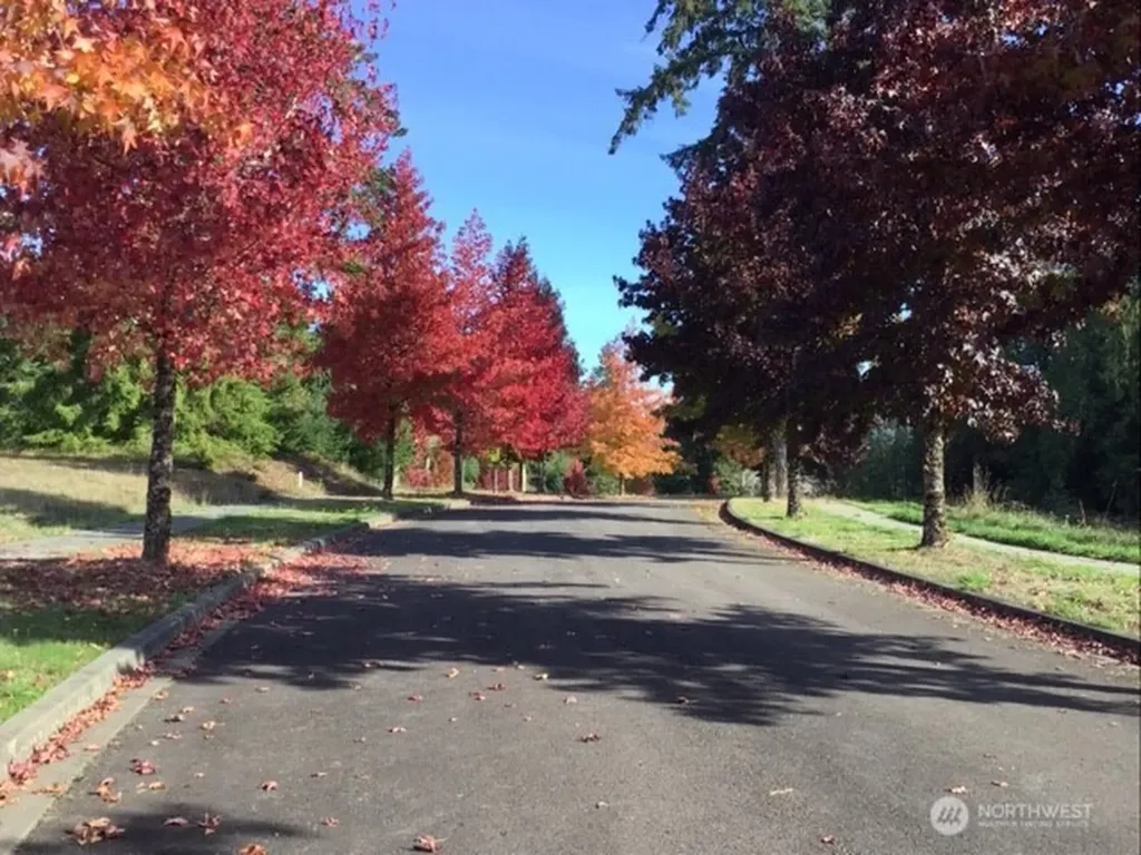 108 Sequoia Lane Onalaska WA 98570