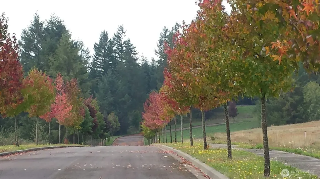 108 Sequoia Lane Onalaska WA 98570