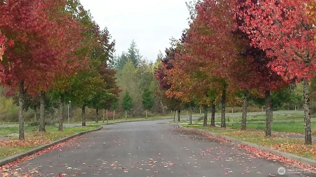 108 Sequoia Lane Onalaska WA 98570