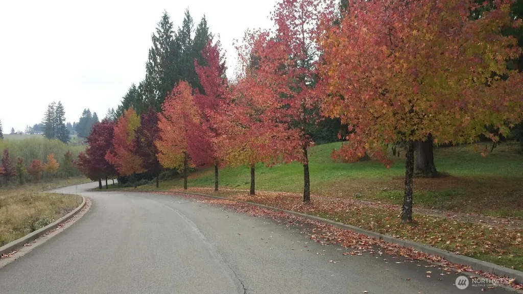 108 Sequoia Lane Onalaska WA 98570