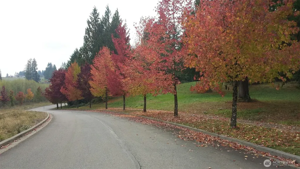 108 Sequoia Lane Onalaska WA 98570