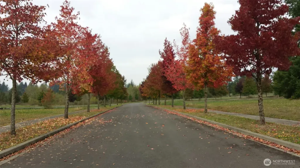 110 Sequoia Lane Onalaska WA 98570