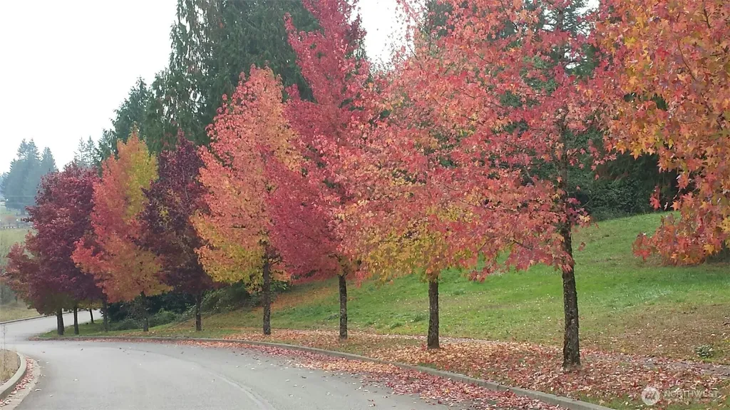 110 Sequoia Lane Onalaska WA 98570