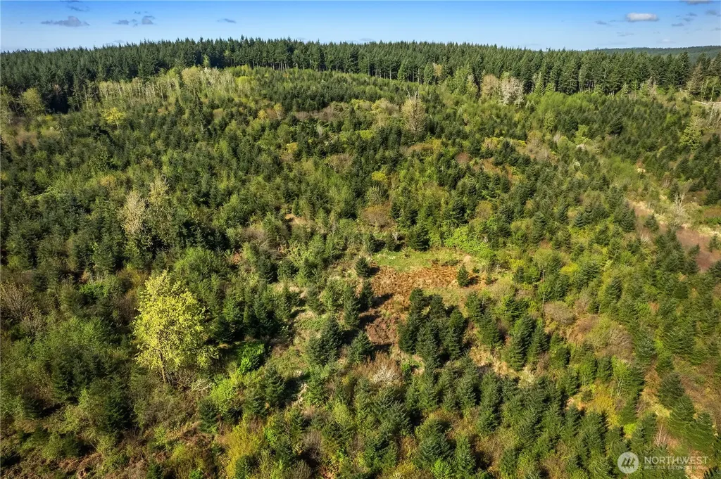 0 40 Acres 185th Avenue SE Tenino WA 98589