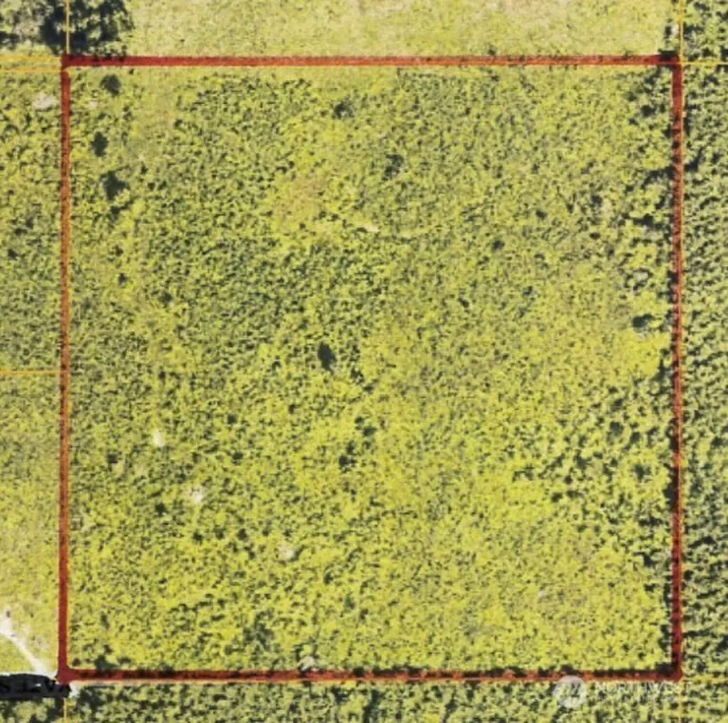 0 40 Acres 185th Avenue SE Tenino WA 98589