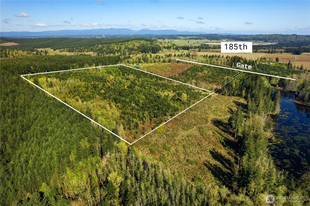 0 40 Acres 185th Avenue SE Tenino WA 98589